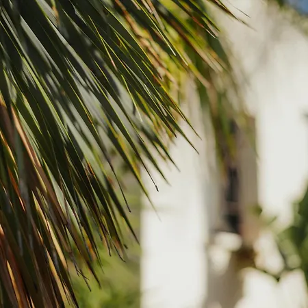 L'oasis Bed & Breakfast 4*