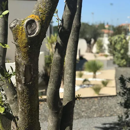 Bed & Breakfast L'oasis 3*