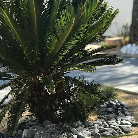 L'oasis 3*