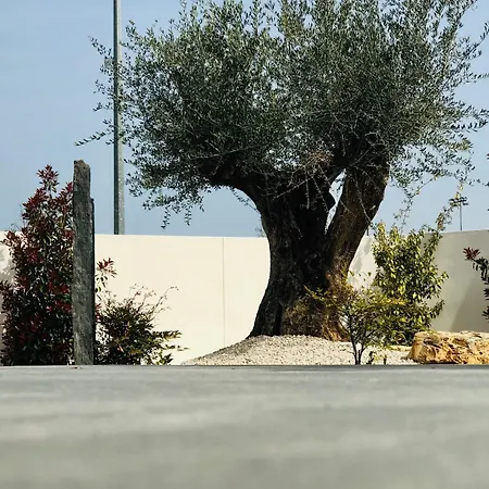 Bed & Breakfast L'oasis