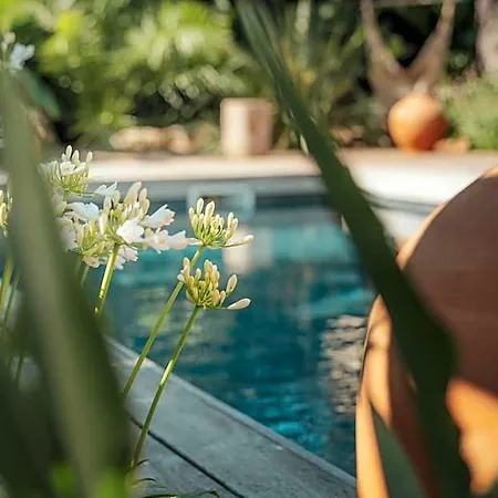 L'oasis