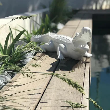 L'oasis 3*